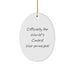 Funny Vice-principal Oval Ornament Gifts from Friends for Vice-principal - Officially The World's Coolest Vice-principal Christmas Unique Gifts - Image 1