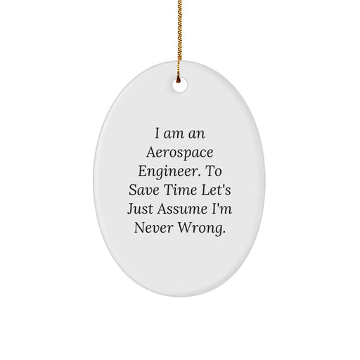 Funny Aerospace Engineer Oval Ornament Gifts from Friends and Family for Men - 'I Am An Aerospace Engineer. To Save Time Let's Just Assume I'm Never Wrong.' Christmas Unique Gifts - Image 1