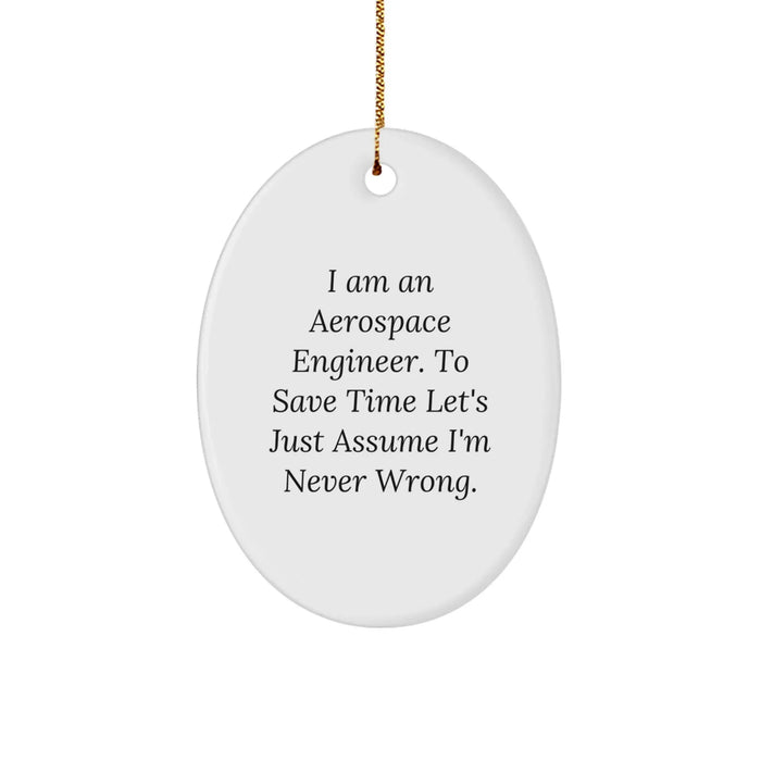Funny Aerospace Engineer Oval Ornament Gifts from Friends and Family for Men - 'I Am An Aerospace Engineer. To Save Time Let's Just Assume I'm Never Wrong.' Christmas Unique Gifts - Image 1