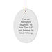 Funny Aerospace Engineer Oval Ornament Gifts from Friends and Family for Men - 'I Am An Aerospace Engineer. To Save Time Let's Just Assume I'm Never Wrong.' Christmas Unique Gifts - Image 1