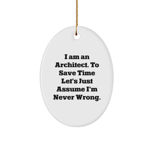 Funny Architect Oval Ornament - Gift from Friends to Architect - Christmas Unique Gifts for Men - Oval Ornament Inspirational Quote - Image 1