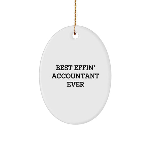 Funny Accountant Gifts from Friends for Accountants - Oval Ornament Best Effin' Accountant Ever Christmas Unique - Image 1