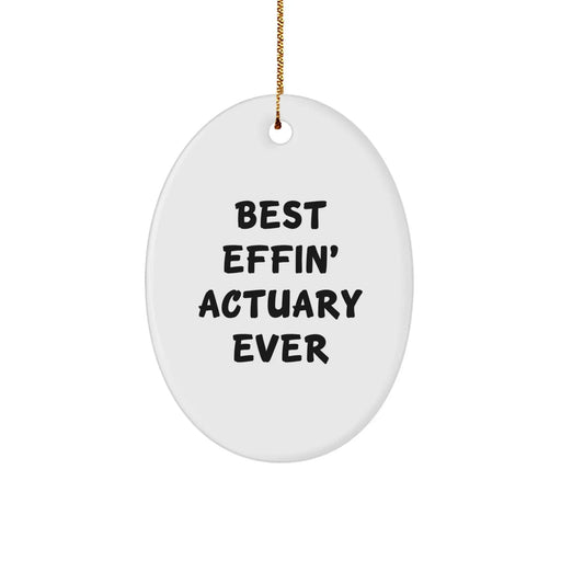 Funny Actuary Oval Ornament Gifts from Friends for Actuary Men Christmas Unique - Image 1