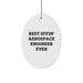Funny Aerospace Engineer Gifts from Family Friends, Oval Ornament for Christmas Unique Presents 'Best Effin' Aerospace Engineer Ever', Gifts for Men Women Coworkers Friends - Image 1