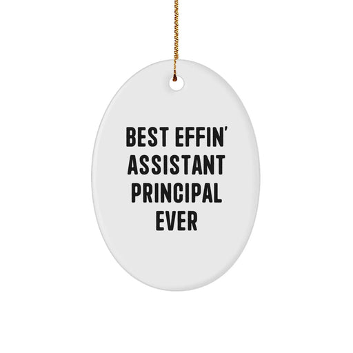 Funny Assistant Principal Oval Ornament Gifts from Friends and Family for Christmas Unique Awards - Image 1