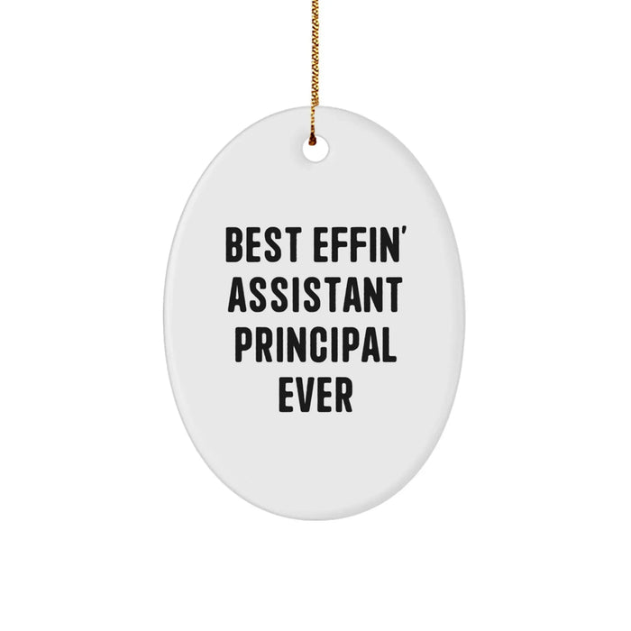 Funny Assistant Principal Oval Ornament Gifts from Friends and Family for Christmas Unique Awards - Image 1