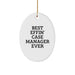 Funny Case Manager Gifts, Oval Ornament for Case Manager, Best Effin' Case Manager Ever Christmas Unique Gifts from Friends, Family, Coworkers to Case Manager, Case Manager Appreciation - Image 1