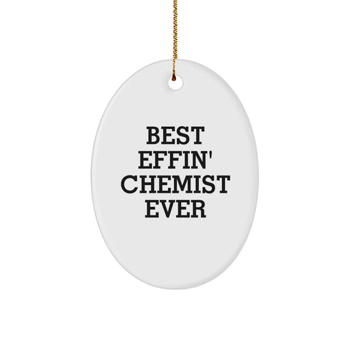 Funny Chemist Gifts from Family for Chemists - Oval Ornament Best Effin' Chemist Ever Christmas Unique - Image 1