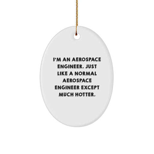 Funny Aerospace Engineer Oval Ornament for Christmas Unique Gifts from Friends, Gifts for Aerospace Engineer Men - Image 1