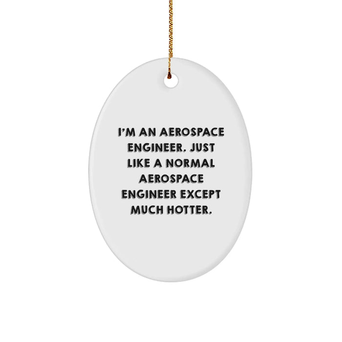 Funny Aerospace Engineer Oval Ornament for Christmas Unique Gifts from Friends, Gifts for Aerospace Engineer Men - Image 1