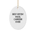 Funny Mail Carrier Gifts from Men, Best Effin' Mail Carrier Ever Oval Ornament, Unique Christmas Unique Gifts for Mail Carrier Friends and Family - Image 1