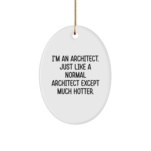 Funny Architect Gifts from Friends, Christmas Unique Oval Ornaments for Men, Women, Family - Image 1