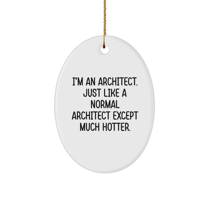 Funny Architect Gifts from Friends, Christmas Unique Oval Ornaments for Men, Women, Family - Image 1