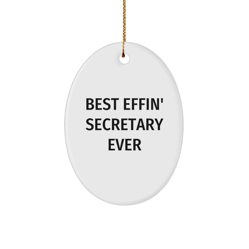 Funny Secretary Oval Ornament Gifts from Family for Best Effin' Secretary Ever, Christmas Unique Gifts for Secretary, Oval Ornament Decoration - Image 1