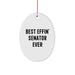 Funny Senator Oval Ornament Gifts for Senator from Friends and Family, Best Effin' Senator Ever Christmas Unique Gifts - Image 1