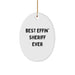 Funny Sheriff Christmas Oval Ornament Gifts from Friends, Coworkers for Sheriff, Men, Family - Image 1