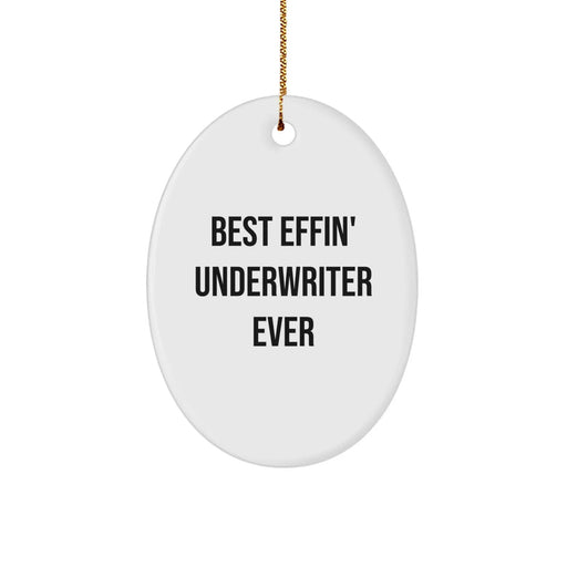 Funny Underwriter Gifts from Friends - Best Effin' Underwriter Ever Oval Ornament for Christmas Unique Gifts for Underwriter Men - Image 1