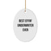 Funny Underwriter Gifts from Friends - Best Effin' Underwriter Ever Oval Ornament for Christmas Unique Gifts for Underwriter Men - Image 1