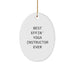 Funny Yoga Instructor Gift for Him from Friends - 'Best Effin' Oval Ornament Christmas Unique Gifts' - Image 1