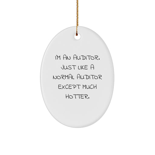 Auditor Gifts from Friends, Funny Oval Ornament for Men, 'I'm An Auditor. Just Like A Normal Auditor Except Much Hotter.' Christmas Unique Gift - Image 1