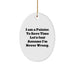 Funny Christmas Unique Gifts for Painter Friends - 'I Am A Painter. To Save Time Let's Just Assume I'm Never Wrong.' Oval Ornament - Image 1