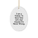 Funny Trainer Oval Ornament Gifts from Men to Friends for Christmas Unique Presents - Image 1