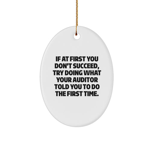 Funny Auditor Gifts from Men to Women - Oval Ornament, 'If At First You Don't Succeed' Christmas Unique Gifts for Friends, Coworkers, Family - Image 1