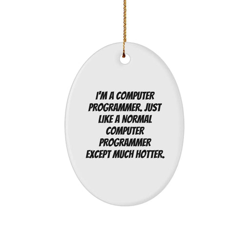 Computer Programmer Gifts from Friends - I'm A Computer Programmer Oval Ornament, Christmas Unique Presents for Men or Women - Image 1