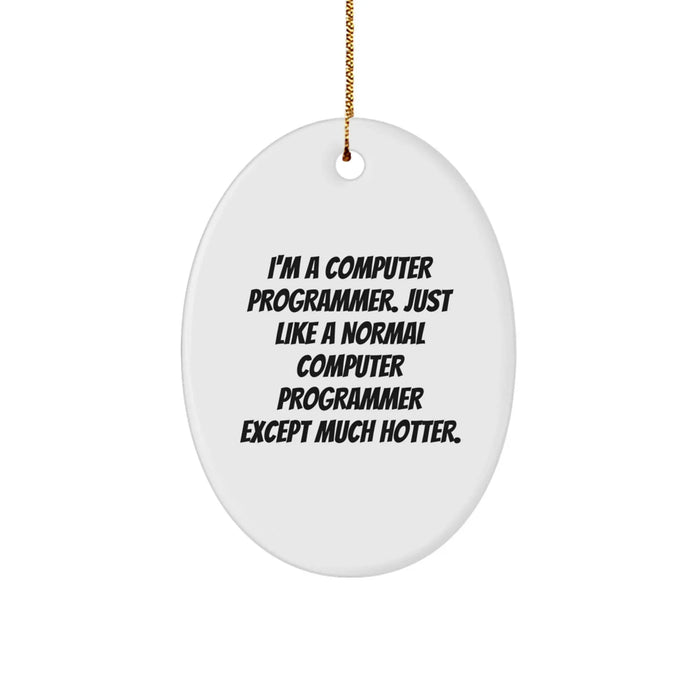 Computer Programmer Gifts from Friends - I'm A Computer Programmer Oval Ornament, Christmas Unique Presents for Men or Women - Image 1