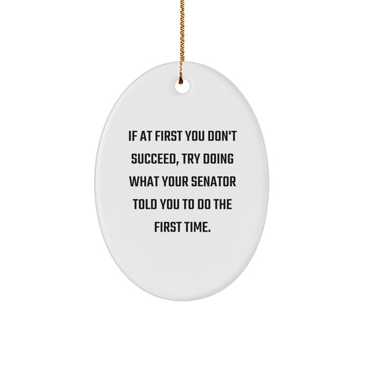 Funny Senator Gifts for Christmas, Oval Ornament, If At First You Don't Succeed, Try Doing What Your Senator Told You To Do The First Time., Gift from Friends to Senator - Image 1