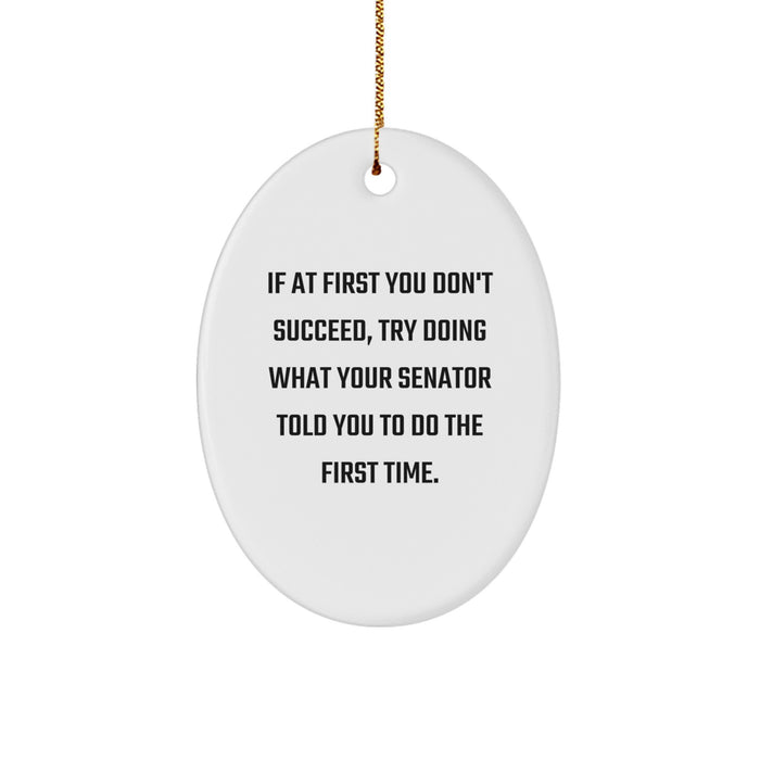 Funny Senator Gifts for Christmas, Oval Ornament, If At First You Don't Succeed, Try Doing What Your Senator Told You To Do The First Time., Gift from Friends to Senator - Image 1