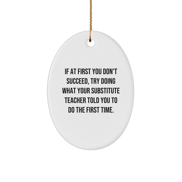 Funny Substitute Teacher Christmas Unique Gifts from Friends Oval Ornament, If At First You Don't Succeed, Try Doing What Your Substitute Teacher Told You To Do The First Time. - Image 1