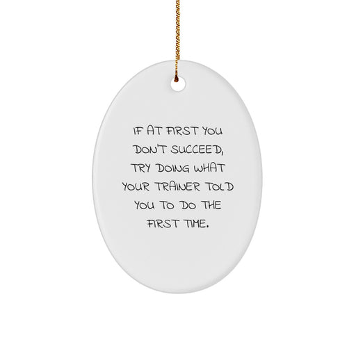 Funny Trainer Quotes Oval Ornament, Gifts from Friends and Family to Trainer, Christmas Unique Gifts - Image 1