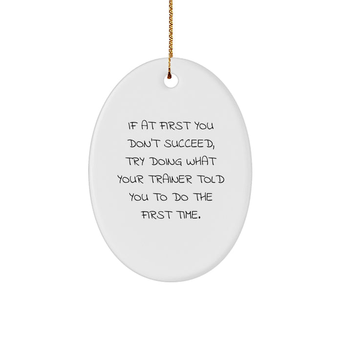 Funny Trainer Quotes Oval Ornament, Gifts from Friends and Family to Trainer, Christmas Unique Gifts - Image 1