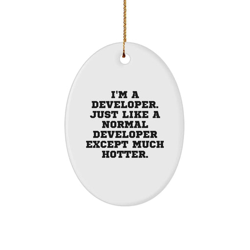 Developer Gifts from Friends - I'm A Developer. Just Like A Normal Developer Except Much Hotter. Oval Ornament for Christmas - Image 1