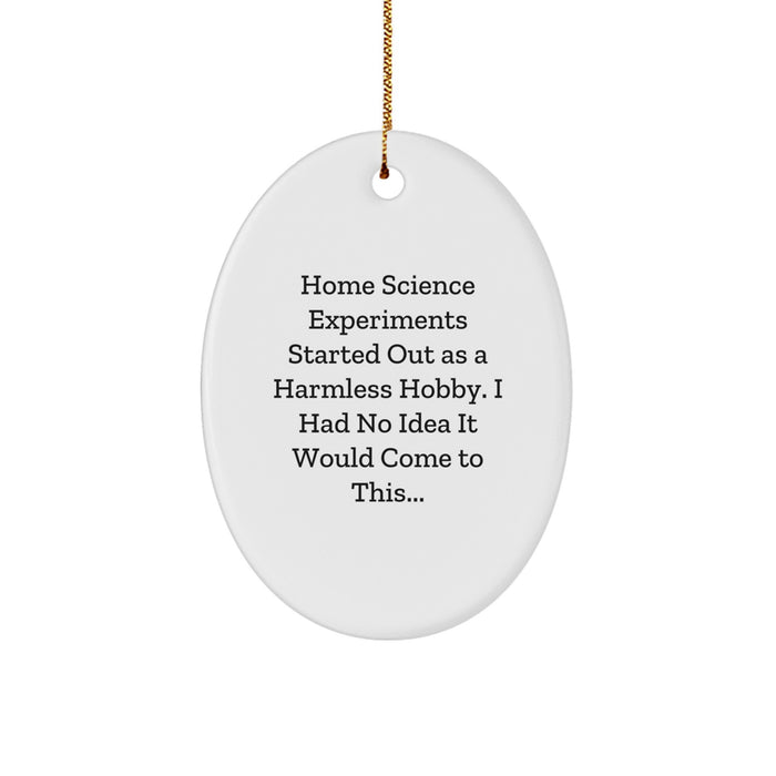 Home Science Experiments Gifts for Men - Oval Ornament with Funny Quote Started Out As A Harmless Hobby Gifts from Family - Image 1
