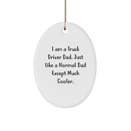 Funny Truck Driver Gifts from Dad, For the Ultimate Highway Hero, Christmas Unique Present - Image 1