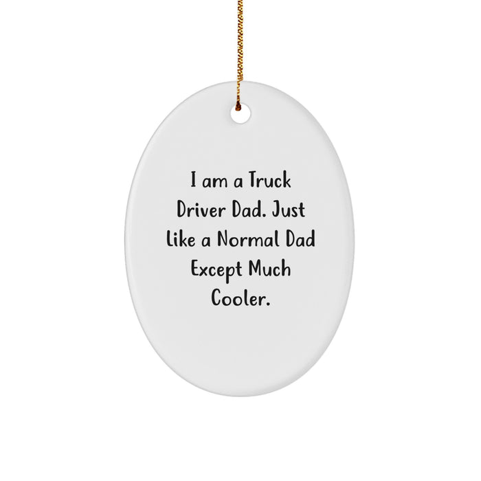 Funny Truck Driver Gifts from Dad, For the Ultimate Highway Hero, Christmas Unique Present - Image 1