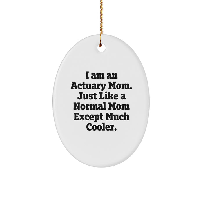 Actuary Mom Christmas Oval Ornament Gifts from Family Friends Colleagues for Actuary Men Women Unique - Image 1