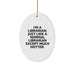 Fun Librarian Gifts from Friends - I'm A Librarian. Just Like A Normal Librarian Except Much Hotter. Oval Ornament for Christmas - Image 1