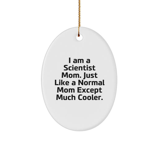Funny Scientist Mom Gifts for Him - Cute Oval Ornament, Inspirational Scientist Quote, Christmas Unique Gifts for Scientist Men - Image 1