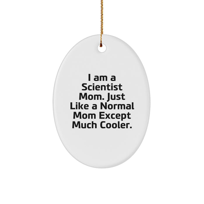 Funny Scientist Mom Gifts for Him - Cute Oval Ornament, Inspirational Scientist Quote, Christmas Unique Gifts for Scientist Men - Image 1