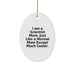 Funny Scientist Mom Gifts for Him - Cute Oval Ornament, Inspirational Scientist Quote, Christmas Unique Gifts for Scientist Men - Image 1