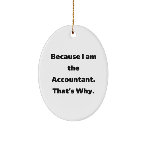 Funny Accountant Oval Ornament Gifts from Family for Men, Gifts for Accountant Friends and Coworkers, Unique Christmas Decorations - Image 1