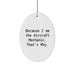 Funny Gift for Aircraft Mechanic Friends, Oval Ornament for Christmas Unique Gifts from Men, Funny because I am the Aircraft Mechanic Thats Why - Image 1