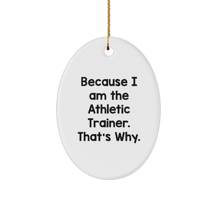 Funny Athletic Trainer Gifts from Friends, Christmas Unique Oval Ornaments for Men Women Family, Because I Am The Athletic Trainer, That's Why. - Image 1