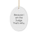 Funny Judge Oval Ornament, Christmas Unique Gifts for Judge, 'Because I Am The Judge. That's Why.' - Image 1