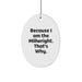 Funny Millwright Oval Ornament Gifts from Men to Millwrights, Unique Christmas Ornaments with Inspirational Quote 'Because I Am The Millwright. That's Why.' - Image 1