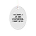 Funny Oval Ornament Gifts from Friends for Performer - Christmas Unique Gifts - Image 1