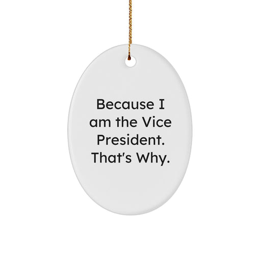 Funny Vice President Oval Ornament Gifts from Friends for Men, Unique Christmas Unique Gifts - Image 1